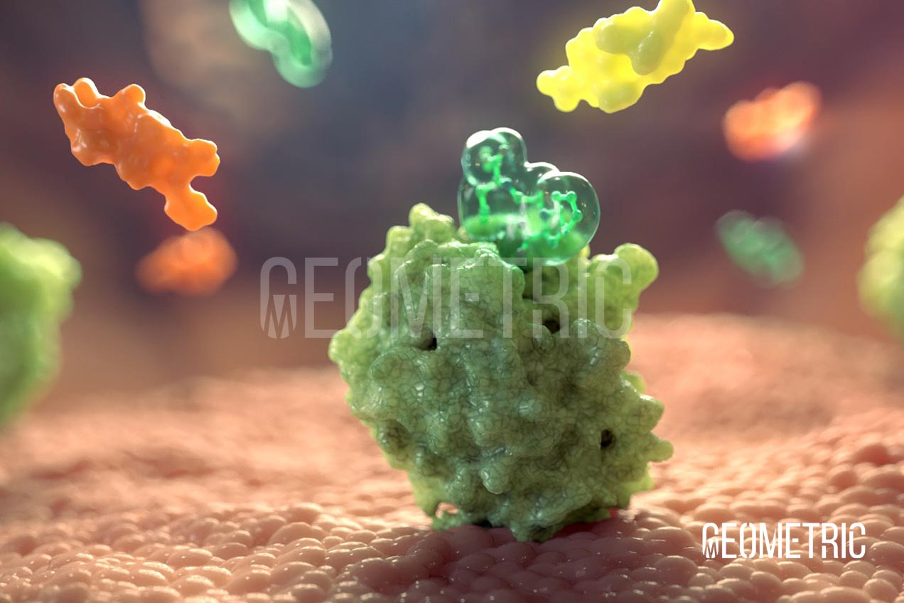 Animations for Medical by Geometric