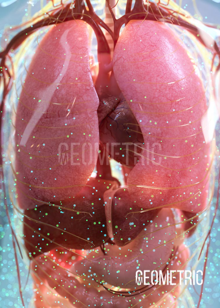 Medical Animation Showreel by Geometric