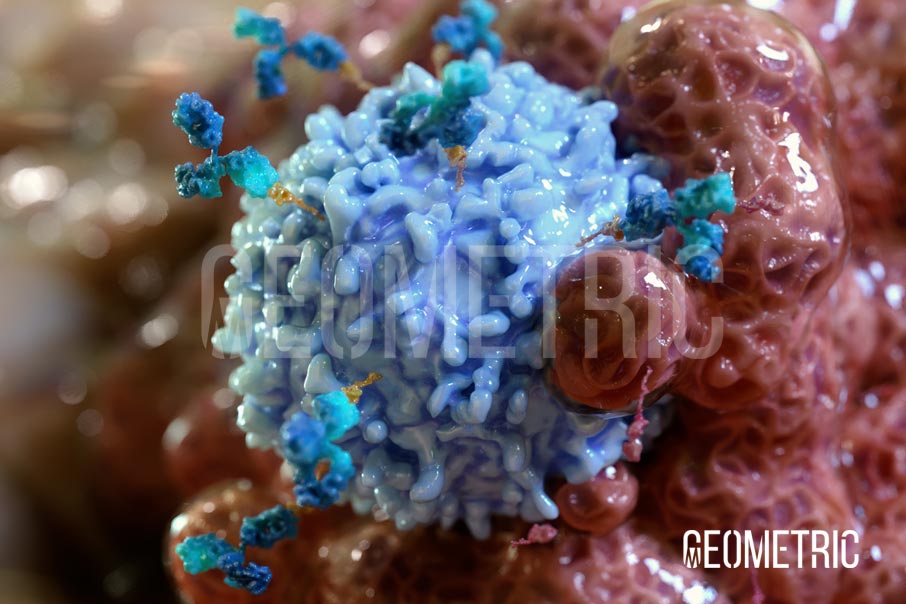 Cancer Animation by Geometric