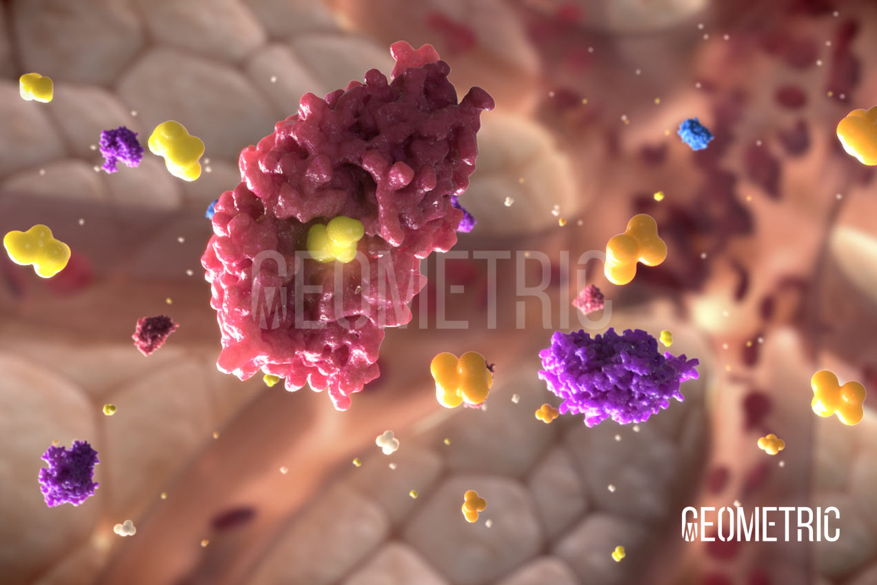 Bacterial Vaginosis 3D Animation