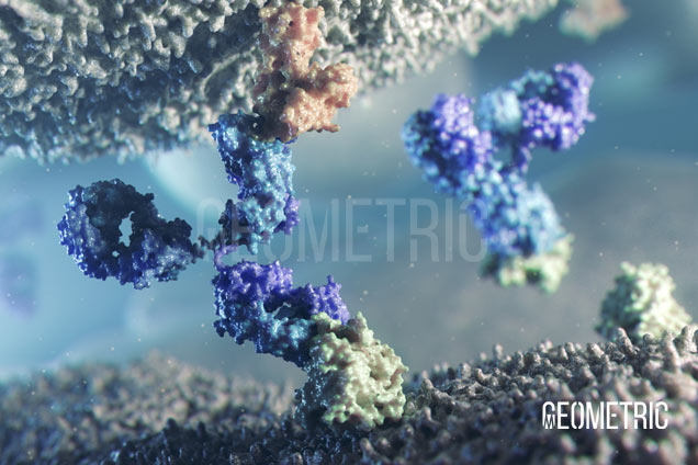 View Oncology Animation Reel