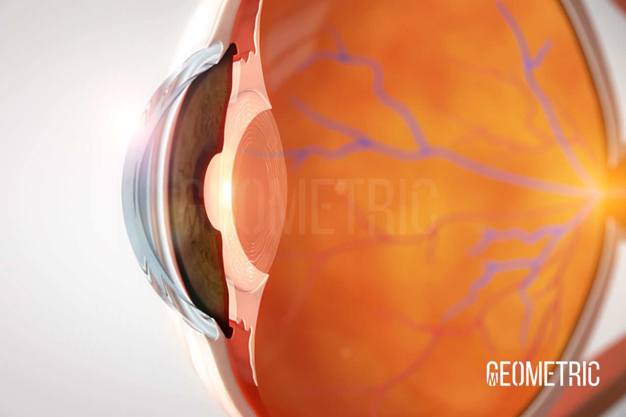 Crystalline Lens Illustration | Geometric Medical Animation