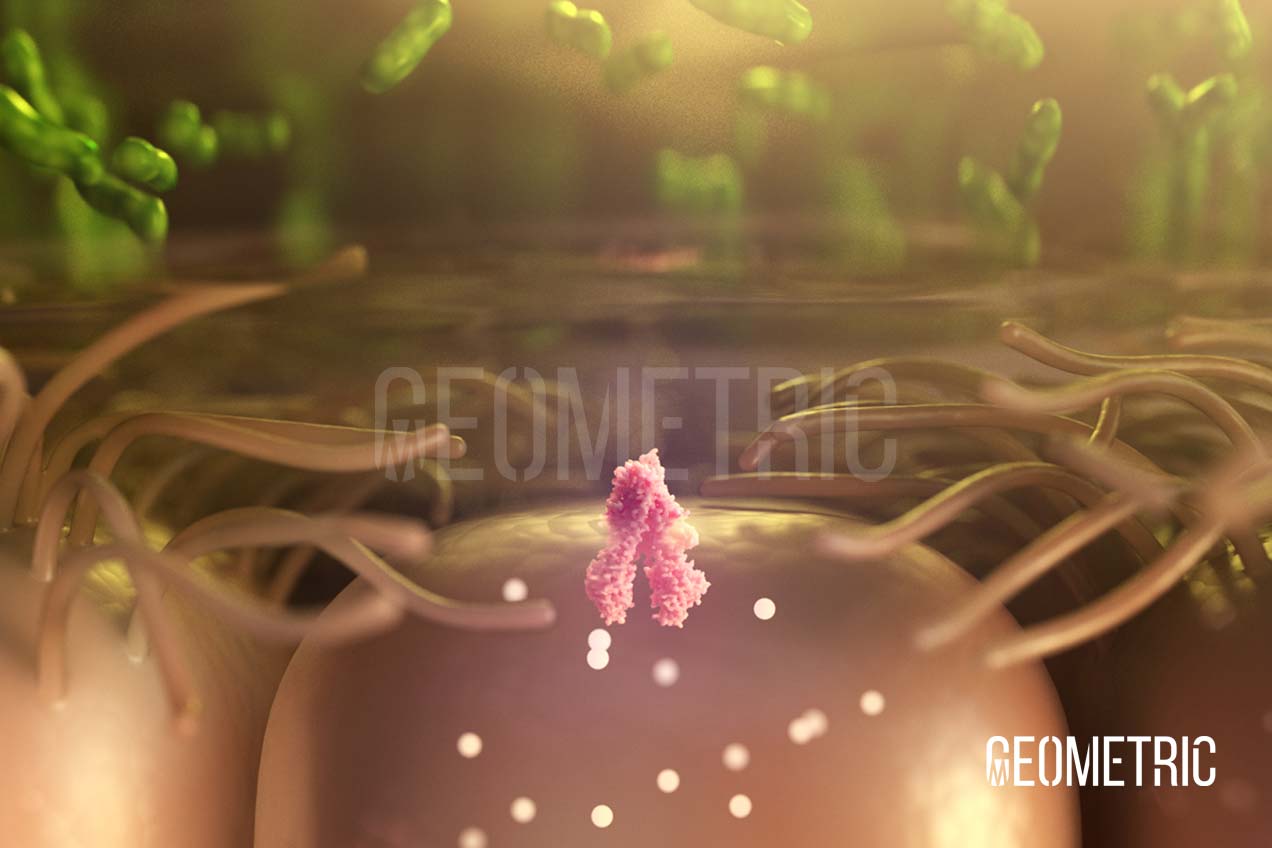 Cystic Fibrosis Transmembrane Conductance Regulator