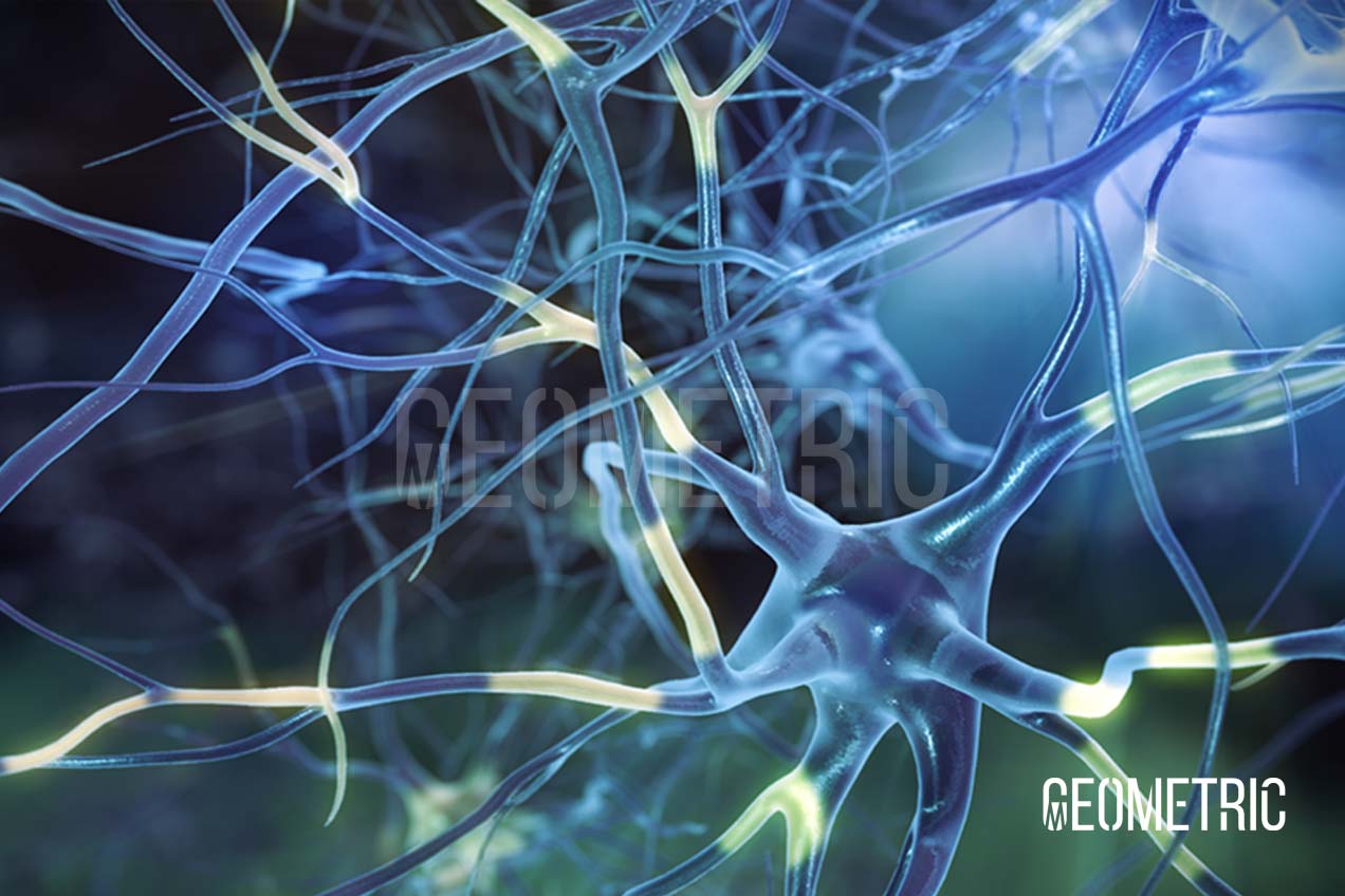 Fragile X Syndrome 3D Animation