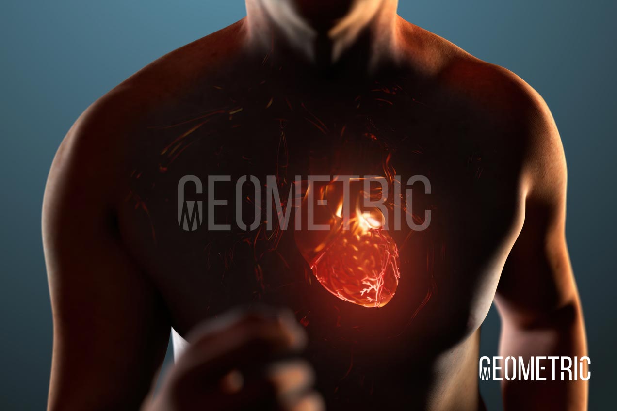 View Cardiovascular Animation Reel