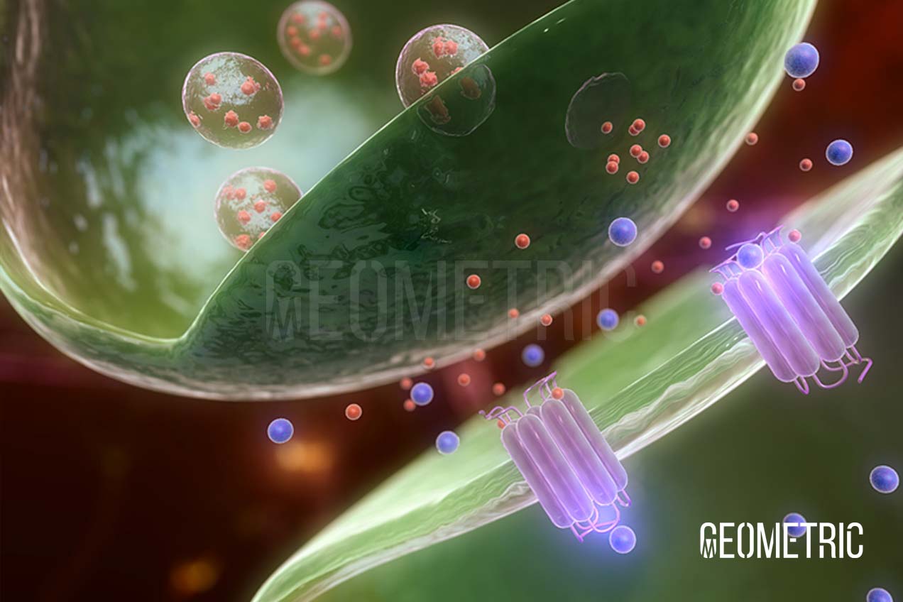 Huntington's Disease Animation