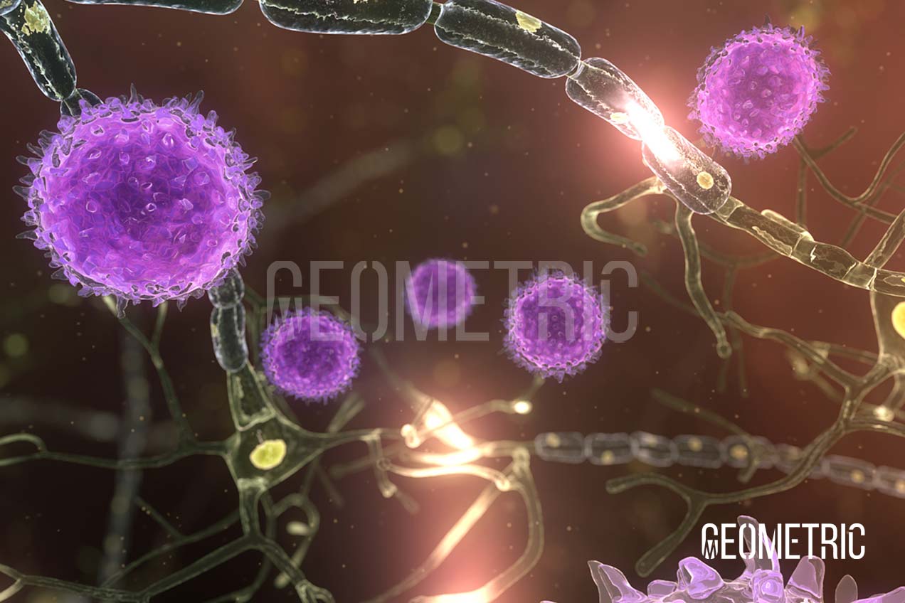 Multiple Sclerosis Animation