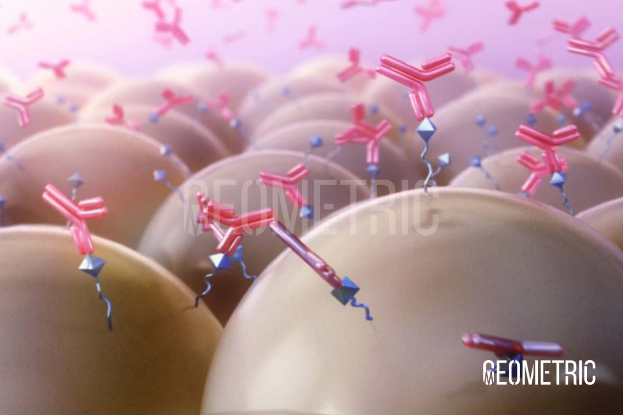 Research and Diagnostics Animation