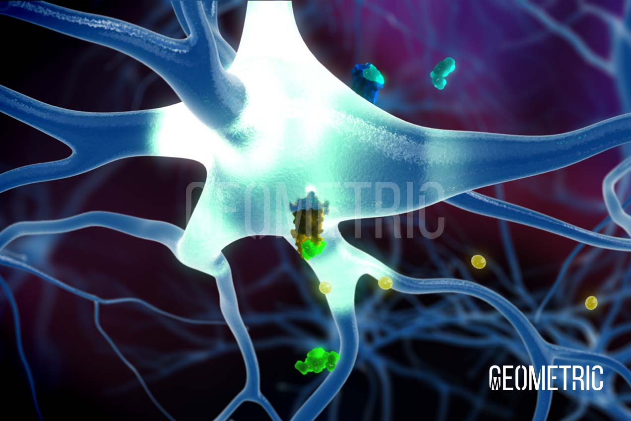 Weight Loss Animation