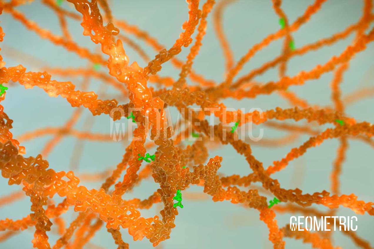 Metabolic Disease Animation